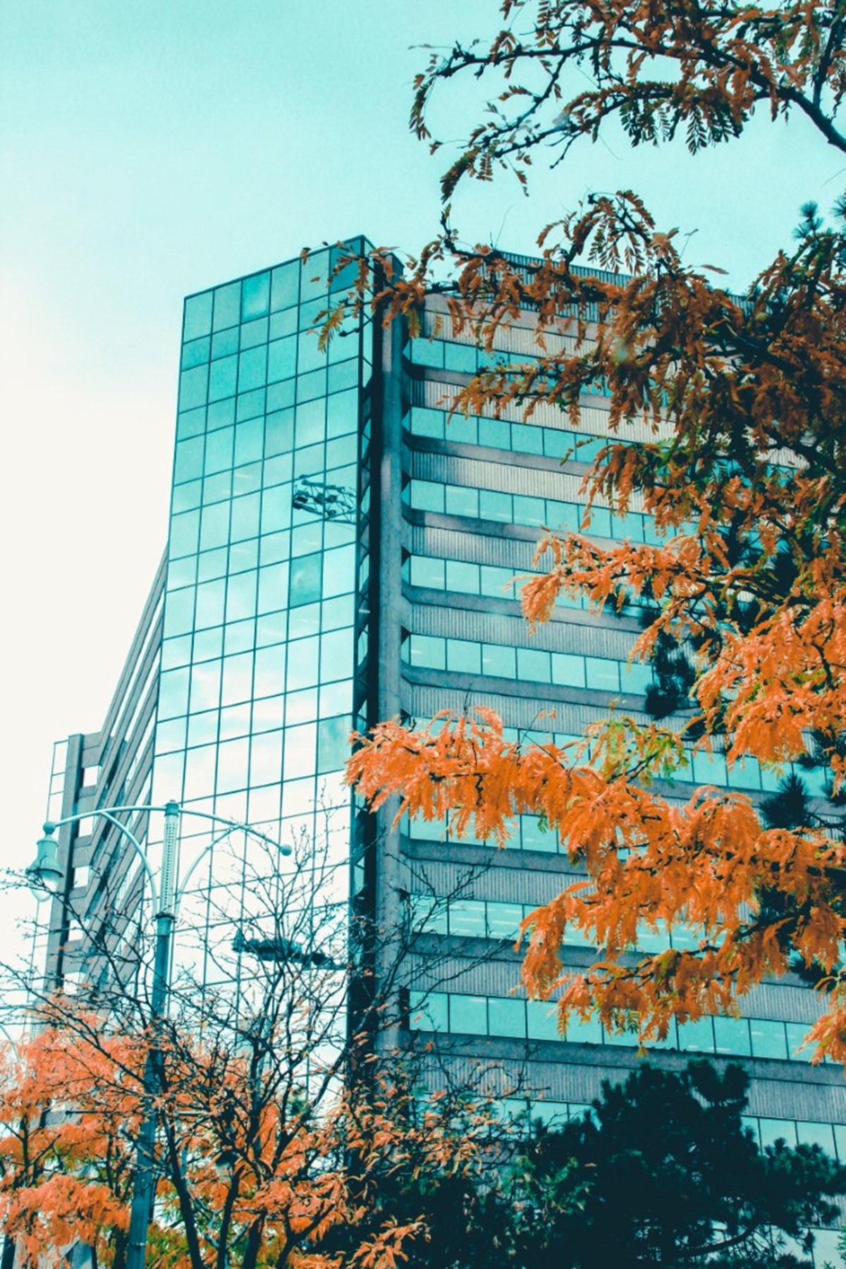 Net Zero Built Environment Council Launched net-zero-built-environment-council-launched