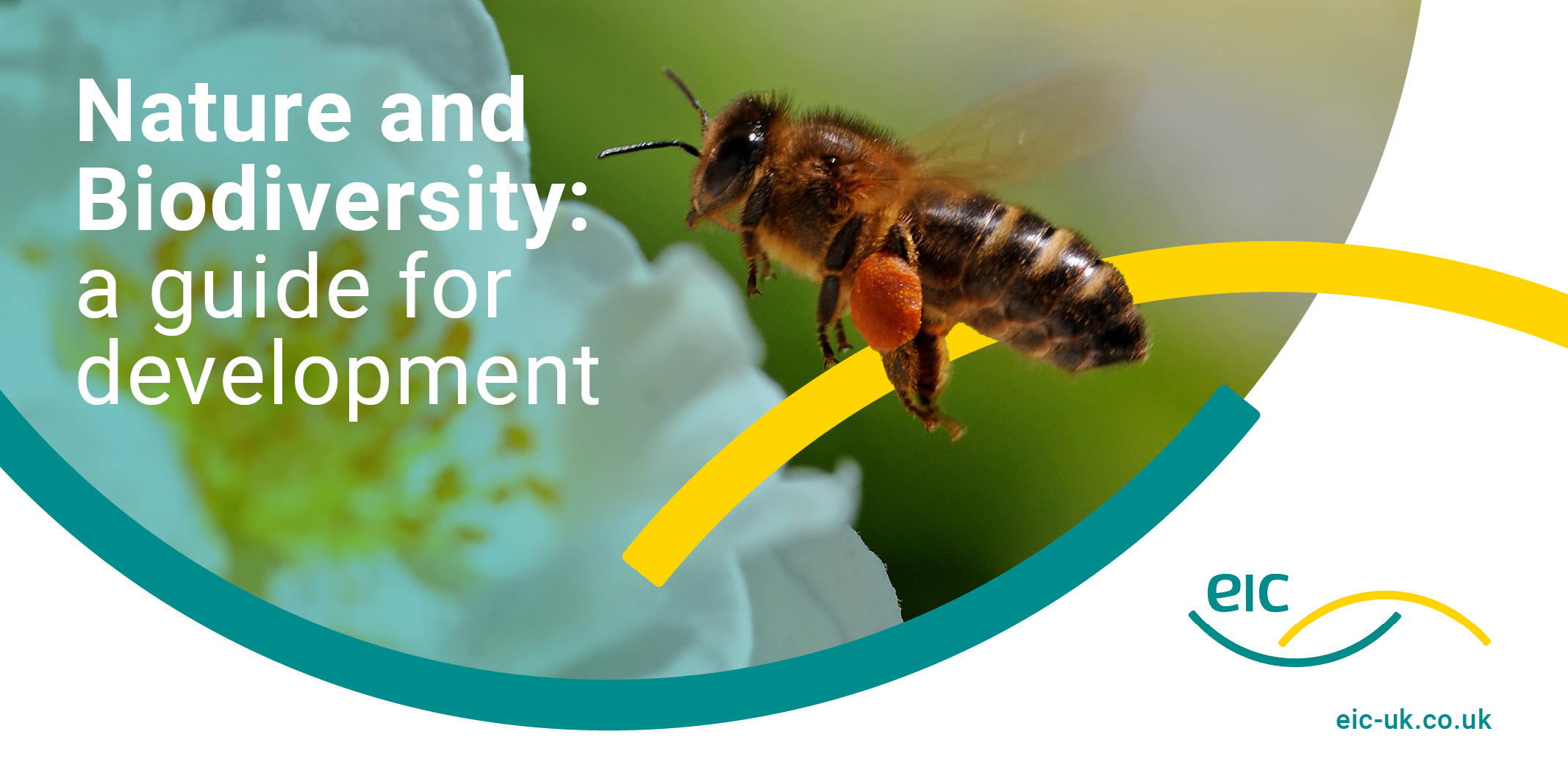 Nature and Biodiversity a guide for development